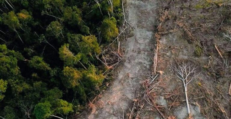 Screenshot_20260315-091656~2