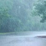 Screenshot_20260316_090920_Chrome