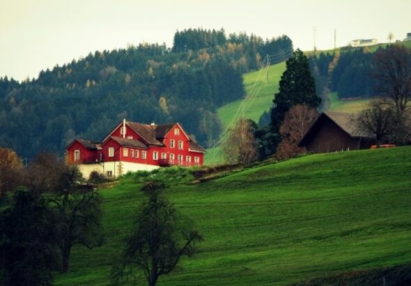 Screenshot_20260319_091829_Chrome