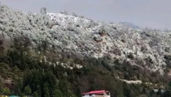 Screenshot_20260321_080615_Chrome