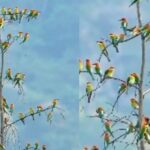 Screenshot_20260327-095311~2