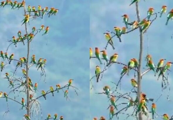 Screenshot_20260327-095311~2