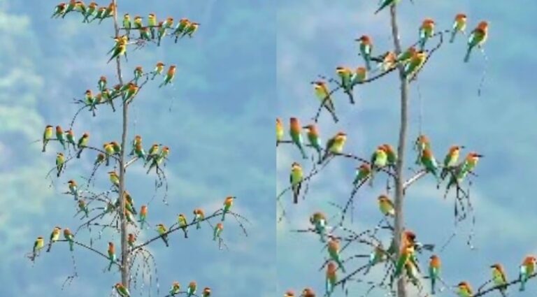 Screenshot_20260327-095311~2