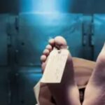 Screenshot_20260329-093859~2