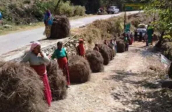 Screenshot_20260331-093807~2