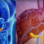 Screenshot_20260331-094747~2