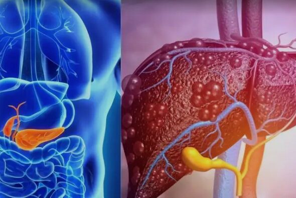 Screenshot_20260331-094747~2