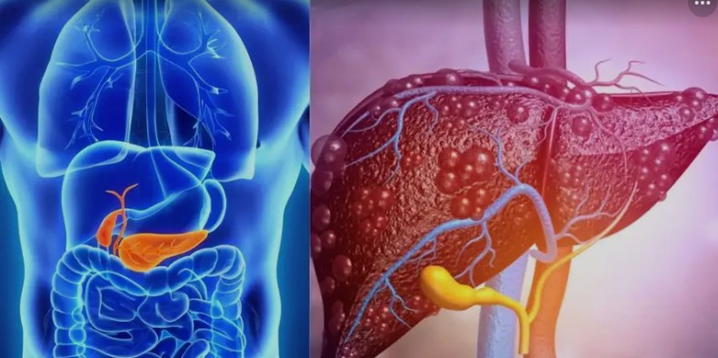 Screenshot_20260331-094747~2