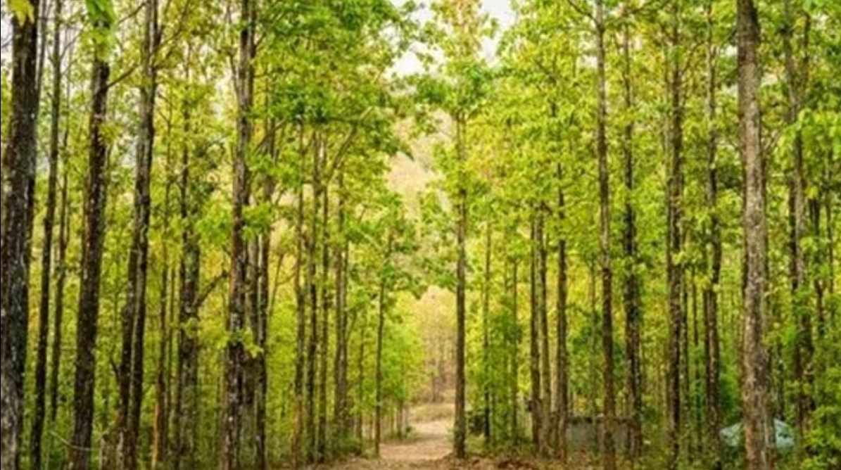 Screenshot_20260405_081150_Chrome