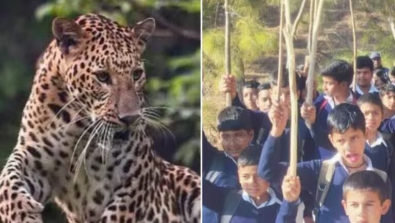 Screenshot_20260406_080029_Chrome