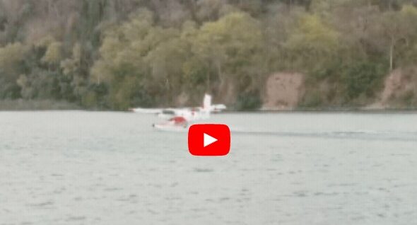 Screenshot_20260408-103544~2