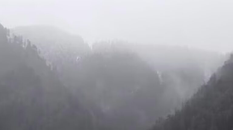 Screenshot_20260409_073043_Chrome