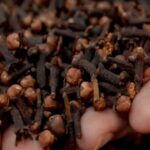 Screenshot_20260409_080545_Google