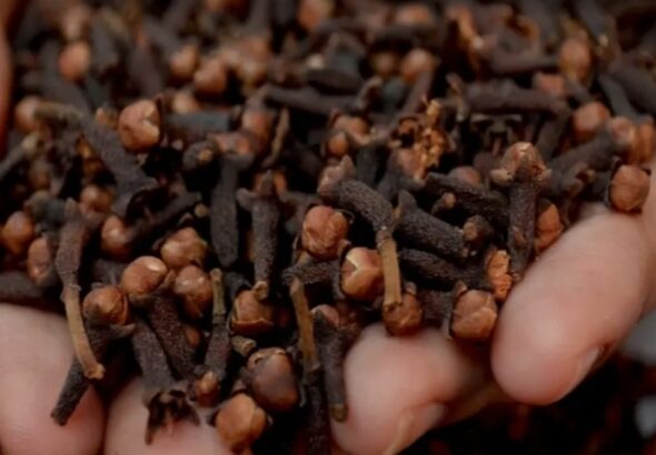 Screenshot_20260409_080545_Google