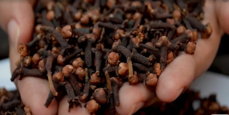 Screenshot_20260409_080545_Google