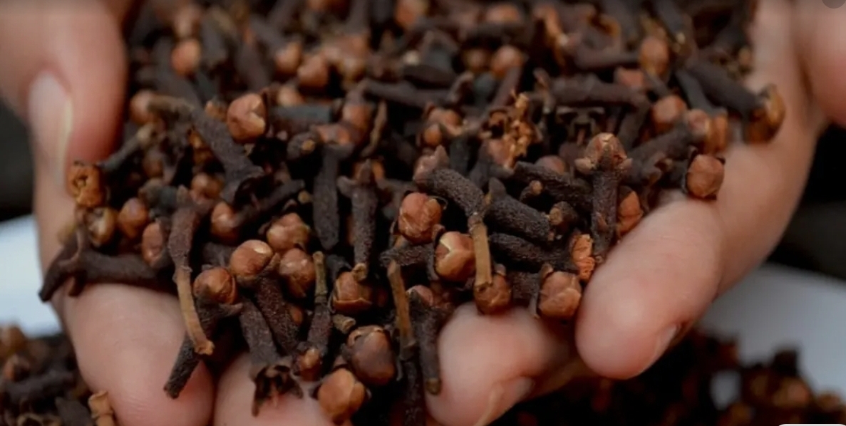 Screenshot_20260409_080545_Google