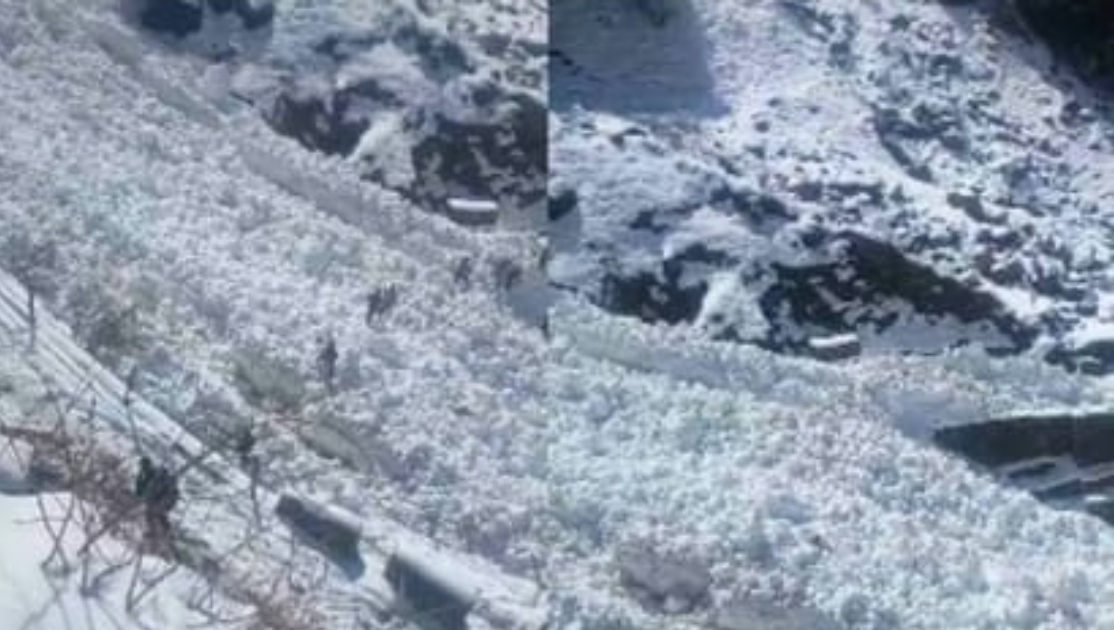 Screenshot_20260411_081616_Chrome