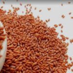 Screenshot_20260411_085030_Google