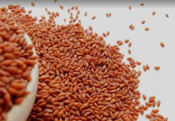 Screenshot_20260411_085030_Google