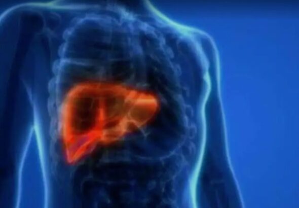 Screenshot_20260415-090337~2