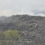 Screenshot_20260424_081824_Chrome