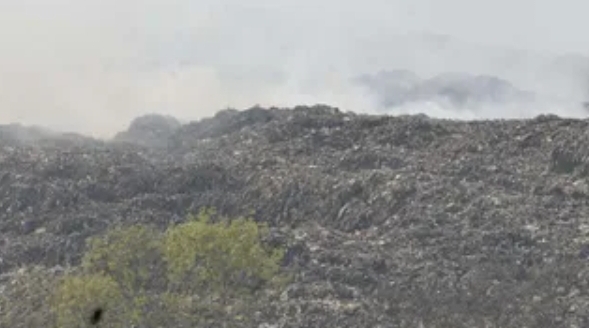 Screenshot_20260424_081824_Chrome