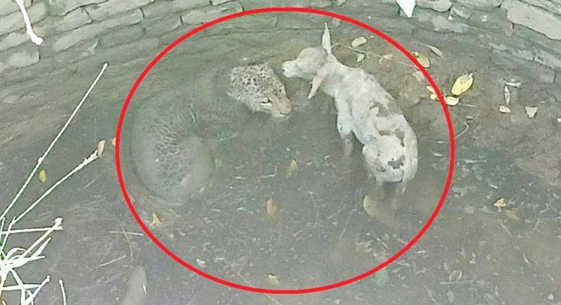 Screenshot_20260427-094843~2