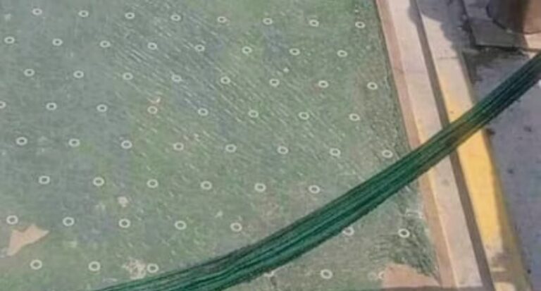 Screenshot_20260529-071744~2